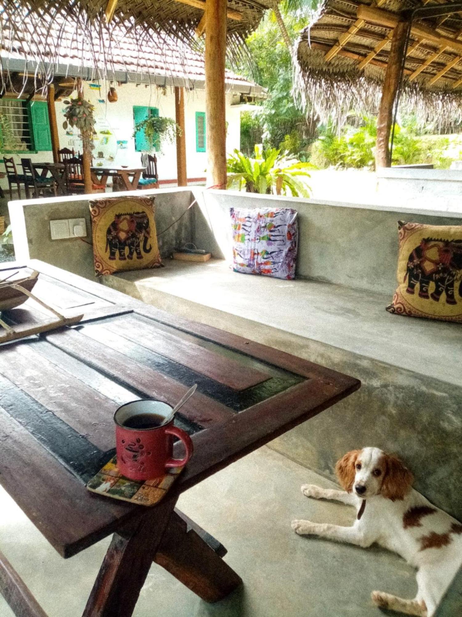 Lazy Monkey Surfhostel - Sri Lanka Dikwella Ngoại thất bức ảnh