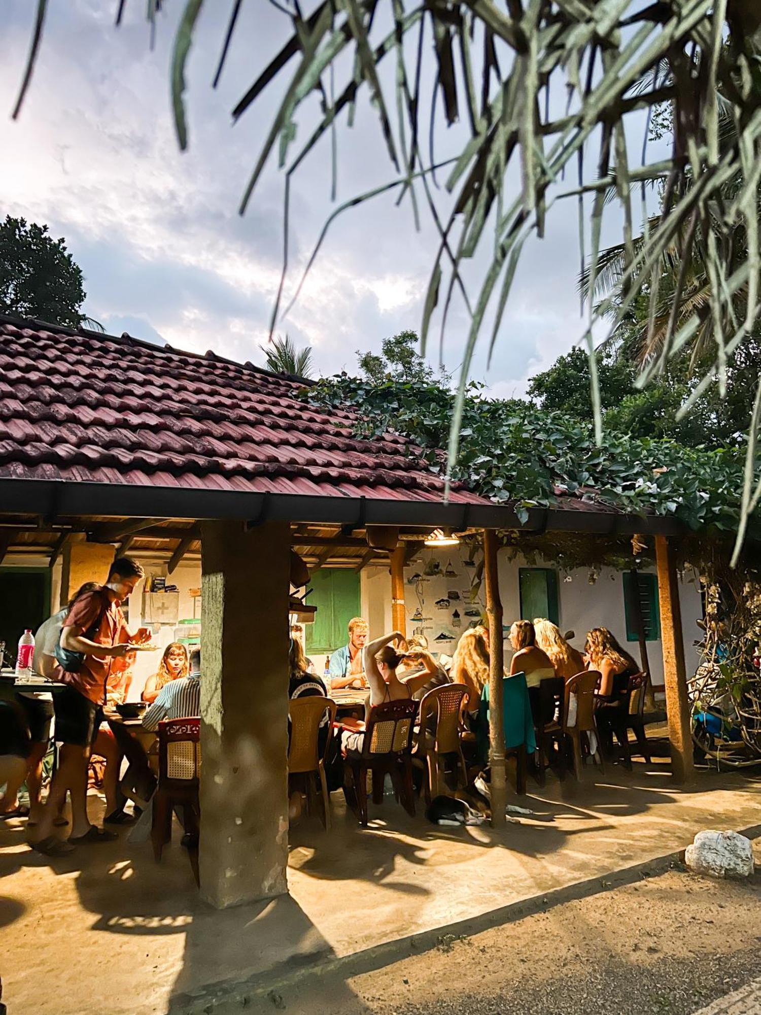 Lazy Monkey Surfhostel - Sri Lanka Dikwella Ngoại thất bức ảnh
