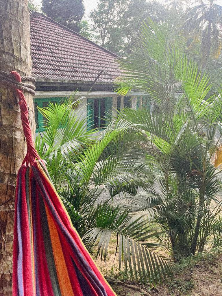 Lazy Monkey Surfhostel - Sri Lanka Dikwella Ngoại thất bức ảnh