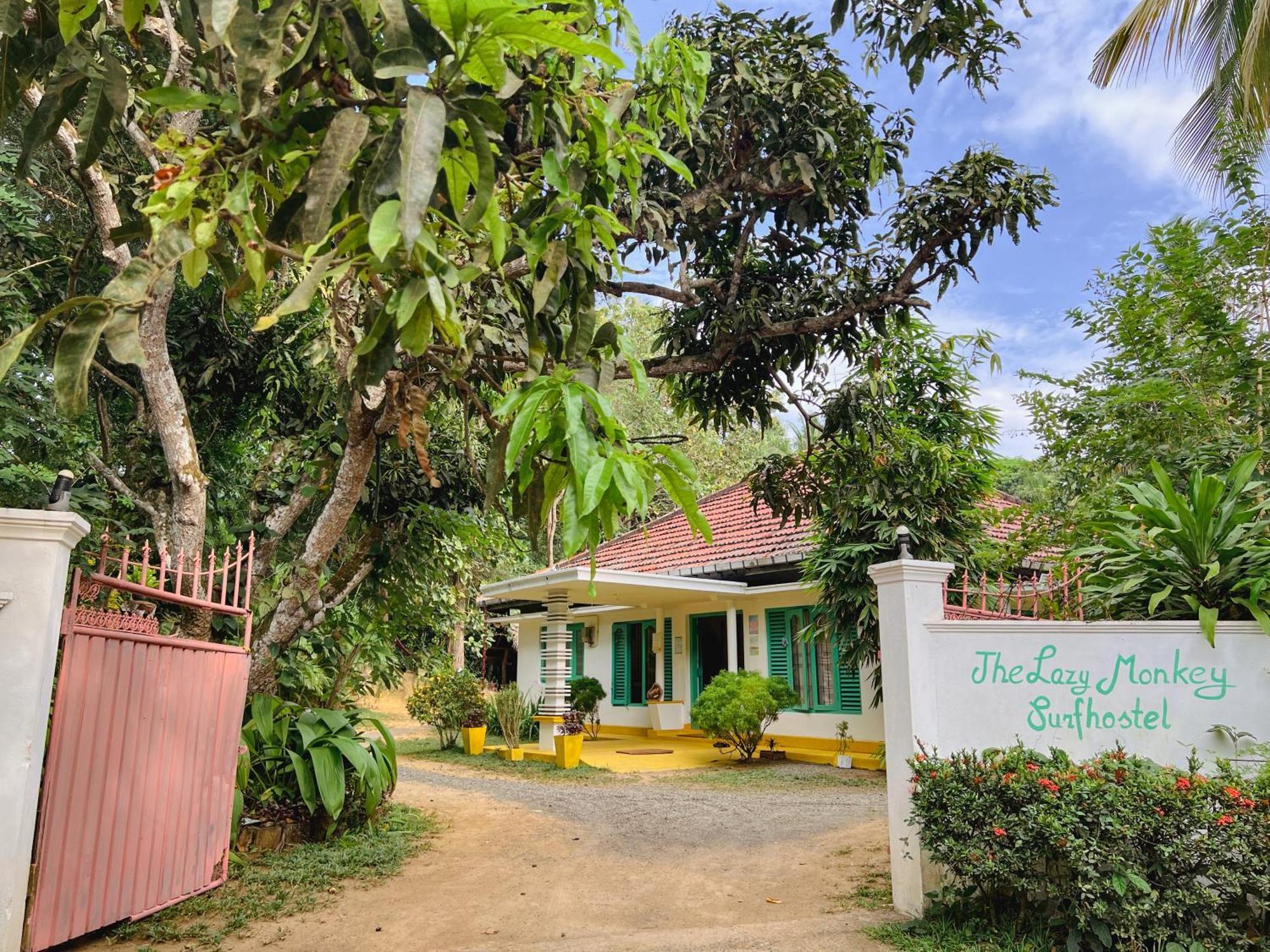 Lazy Monkey Surfhostel - Sri Lanka Dikwella Ngoại thất bức ảnh