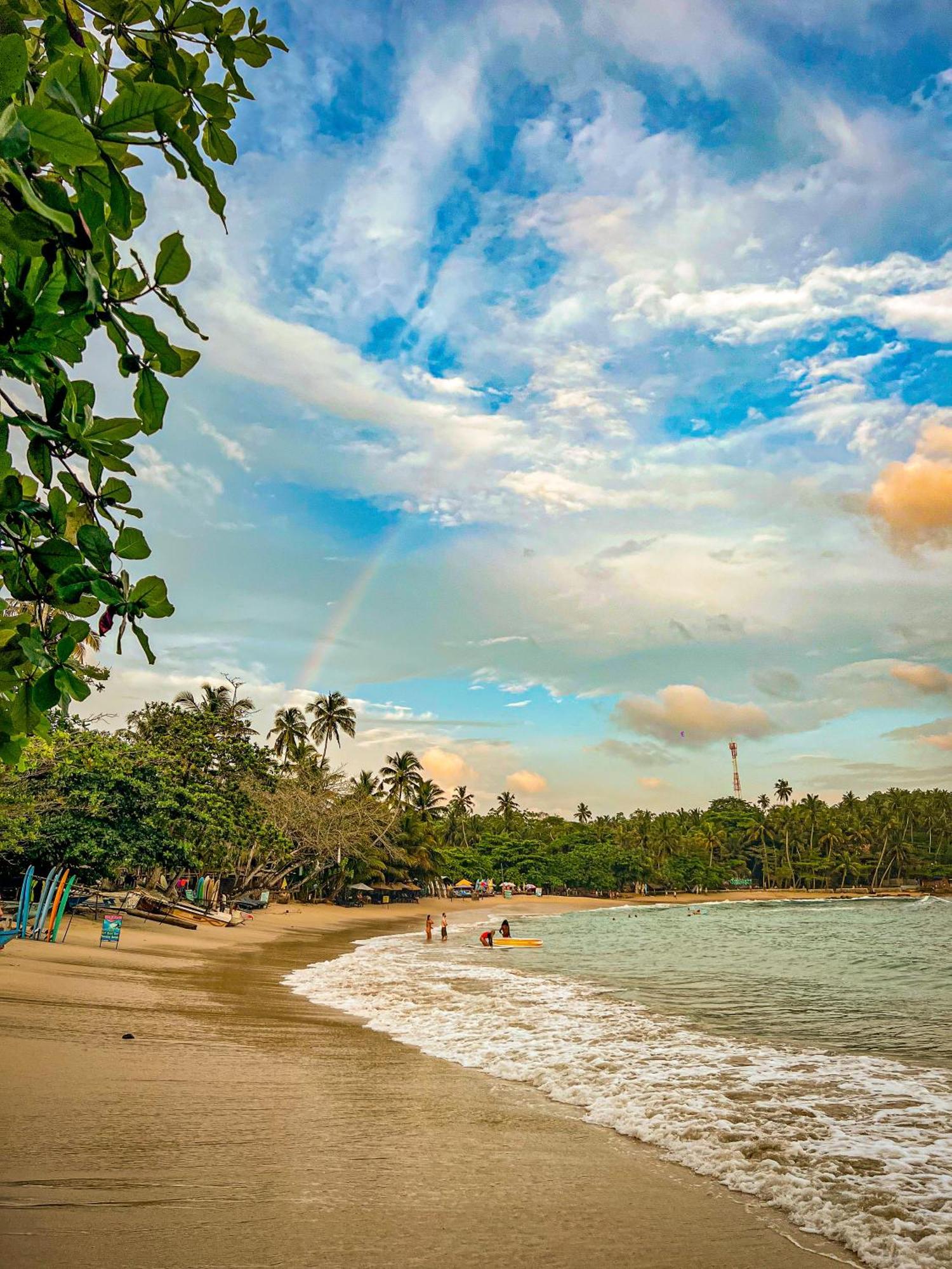 Lazy Monkey Surfhostel - Sri Lanka Dikwella Ngoại thất bức ảnh